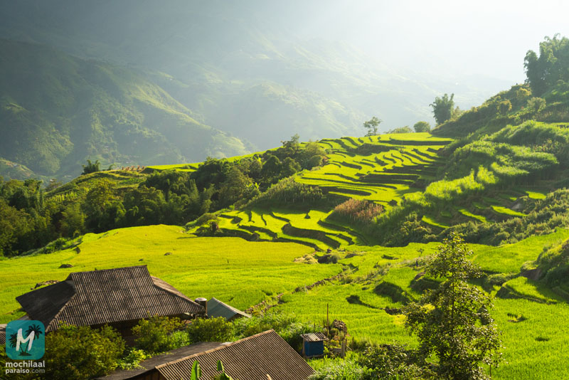 Trekking en Sapa