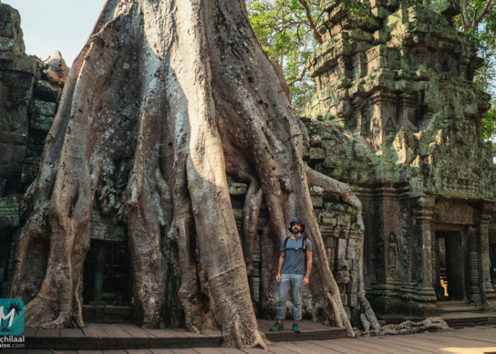david-ta-prohm-angkor.jpg